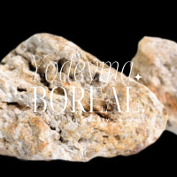 Boreal Niche Damesparfum 50 Ml