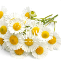 Kids Parfum Yodeyma 15 Ml